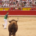 Free Images : man, stallion, black, performance, bullring, event ...