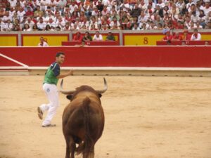 Free Images : man, stallion, black, performance, bullring, event ...
