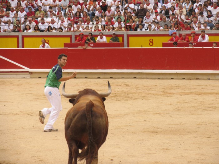 Free Images : man, stallion, black, performance, bullring, event ...